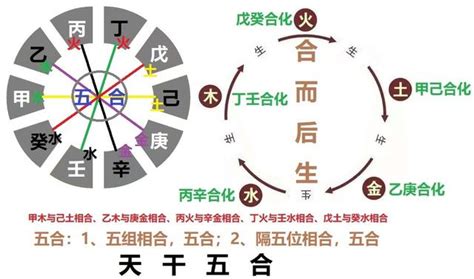 五行合化表|天干地支的合化表